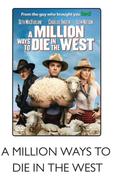 A Million Ways To Die In The West DVD-Each
