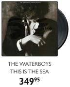 The Waterboys This Is The Sea