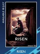 Risen Blu-Ray-Each