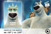Norm Of The North DVD