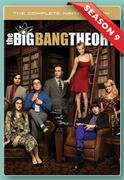 The Big Bang Theory Season 9 DVD