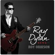 Ray Dylan CDs-Each