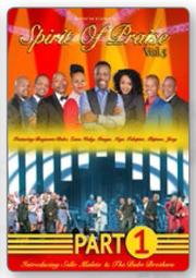 Special Spirit Of Praise Vol 5 Music DVD-For 2 — m.guzzle.co.za