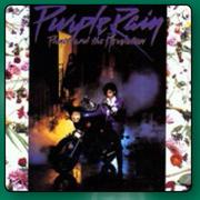 Purple Rain Vinyl-For 2