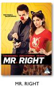 Mr.Right DVD-Each