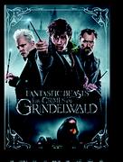 Fantastic Beasts The Crimes Of Grindelwald DVDs-Each