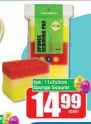 Sponge Scourer 3 Pack-11 x 7 x 3cm