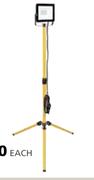 Single Head LED Portable Floodlight & Tripod-20W Each