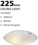Ceiling Light-Each