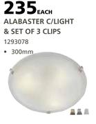 Alabaster C/Light & Set Of 3 Clips-300mm Each
