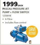 Agrinet Pascali Pressure Jet Pump + Flow Switch-Each