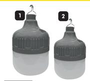 Lightworx Small Portable Rechargeable Light-Each