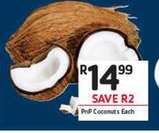 PnP Coconut-Each
