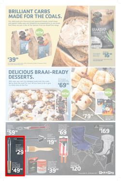Pick n Pay : Braai Specials (10 Oct - 22 Oct 2017), page 3