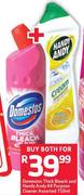 Domestos Thick Bleach And Handy Andy All Purpose Cleaner Assorted-750ml Both For