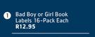 Bad Boy Or Girl Book Labels 16-Pack-Each