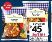 Nature's Garden Stir Fry Assorted-2 x 750g