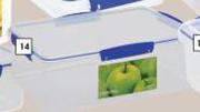 Sistema Rectangular Foodsaver-7Ltr