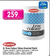 Plascon 5ltr True Colour Gloss Enamel Paint