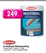 Plascon 5L Multiseal Waterproofing