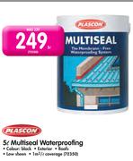 Plascon 5L Multiseal Waterproofing