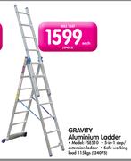 Gravity Aluminium Ladder-FSE510 Each