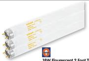 58W Flourescent 5 Foot Tube-Each