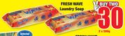 Fresh Wave Laundry Soap-2 x 500g