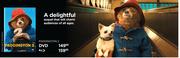 Paddington 2 Blu Ray DVD
