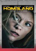 Homeland  TV Series-For 2