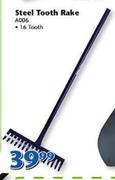 Steel Tooth Rake 16 Tooth A006