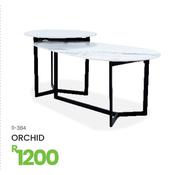Orchid 11-384