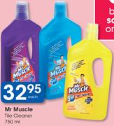 Mr Muscle Tile Cleaner-750ml Each