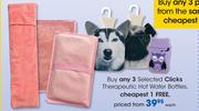 Clicks Therapeutic Hot Water Bottles-Each