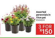 Assorted Perennials In 17cm Pot 81454533-For 3