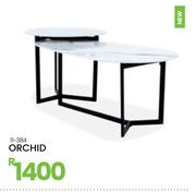 Orchid 11-384