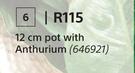 12cm Pot With Anthurium