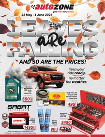Autozone : Leaves Are Falling And So Are The Prices (22 May - 01 June 2025)