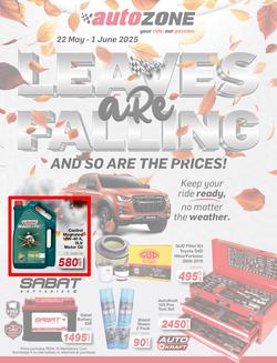 Autozone : Leaves Are Falling And So Are The Prices (22 May - 01 June 2025), page 1