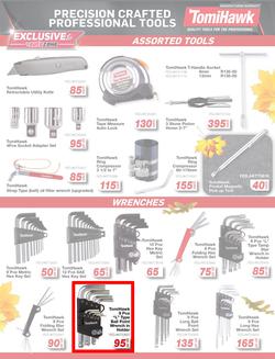 Autozone : Leaves Are Falling And So Are The Prices (22 May - 01 June 2025), page 13