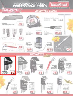 Autozone : Leaves Are Falling And So Are The Prices (22 May - 01 June 2025), page 13