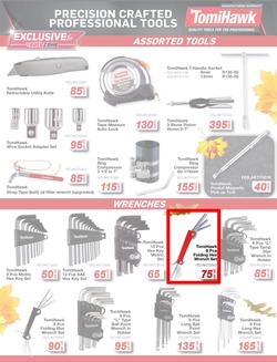 Autozone : Leaves Are Falling And So Are The Prices (22 May - 01 June 2025), page 13