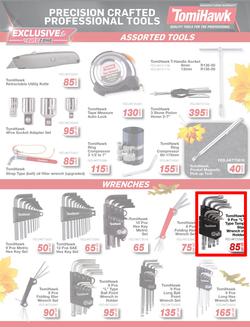 Autozone : Leaves Are Falling And So Are The Prices (22 May - 01 June 2025), page 13