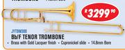Jinyin Bb/F Tenor Trombone JYTBM300