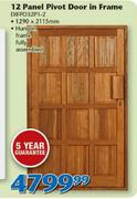 12 Panel Pivot Door In Frame DIFPD32P1-2