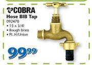 Cobra Hose Bib Tap 092470