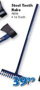 Steel Tooth Rake 16 Tooth A006