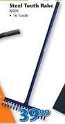 Steel 16 Tooth Rake A006