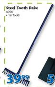 Steel 16 Tooth Rake A006