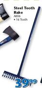 Steel 16 Tooth Rake A006